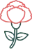 Carnation bouquet