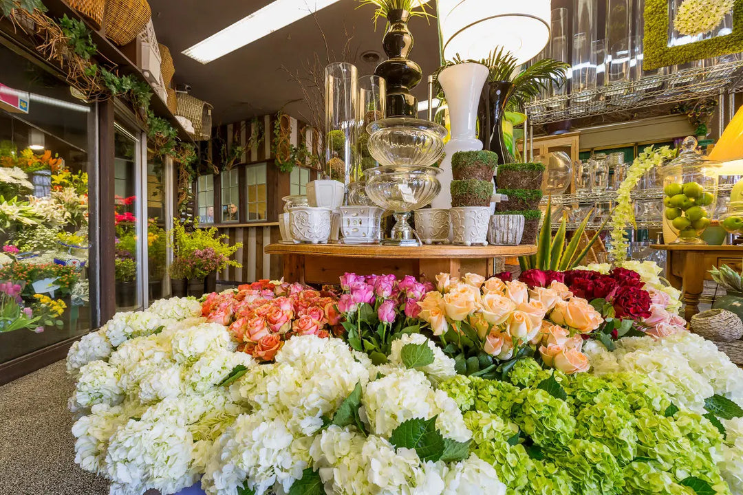 Bloomen Inc.