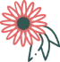 Gerbera bouquet